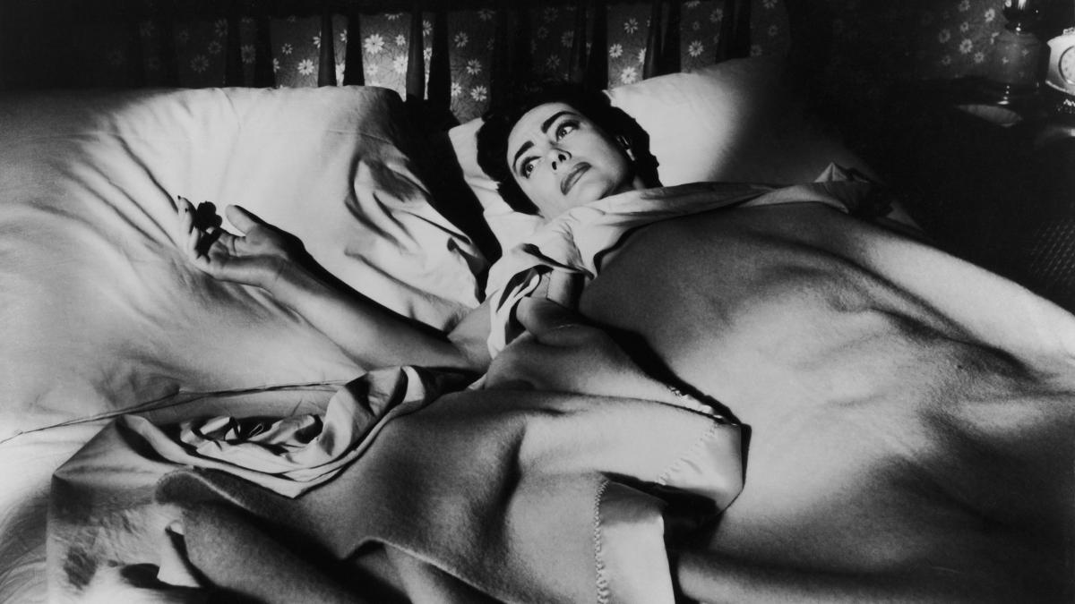 Sony Pictures Museum Autumn Leaves