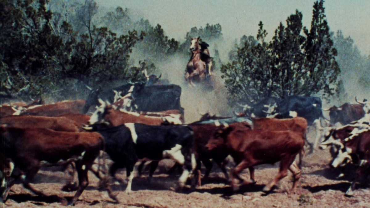Sony Pictures Museum Cowboy