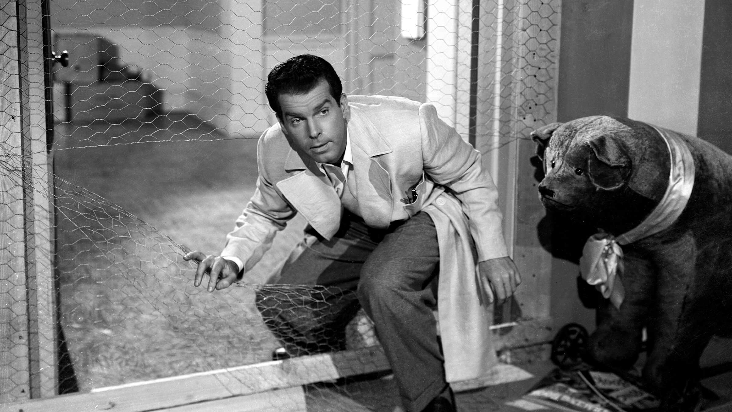 Sony Pictures Museum Lady Is Willing, The