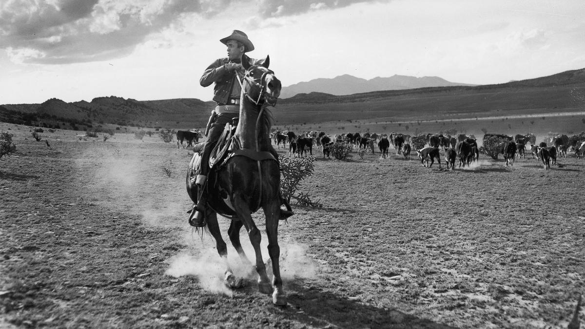 Sony Pictures Museum Man From Laramie, The