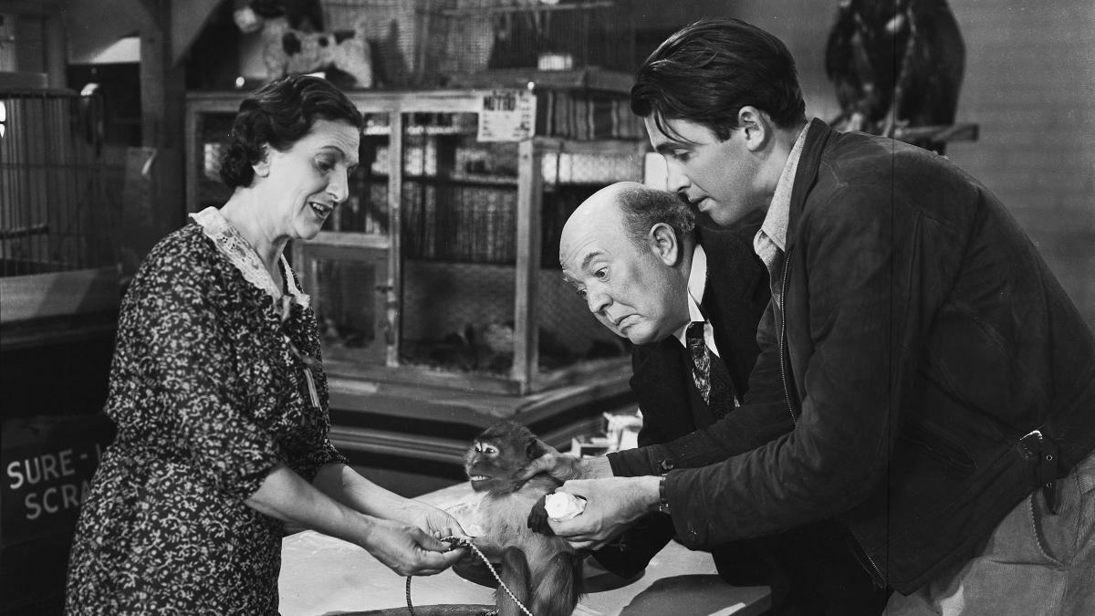 Sony Pictures Museum Mr. Smith Goes to Washington