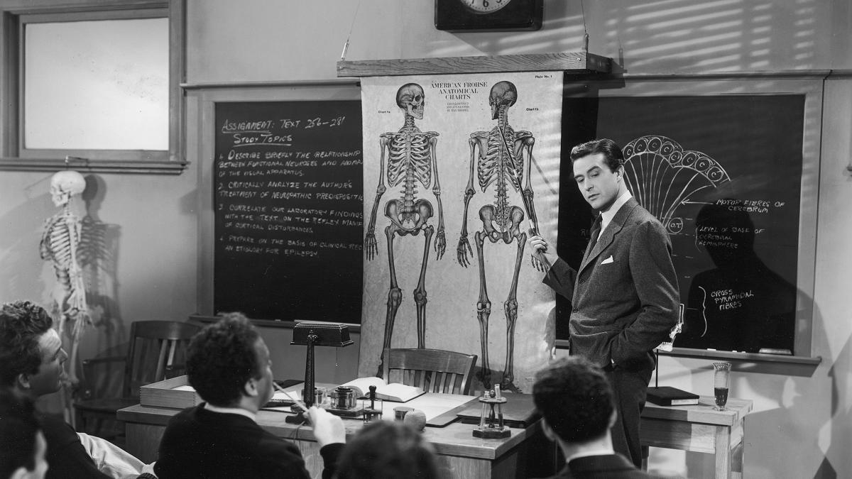 Sony Pictures Museum Doctor Takes a Wife, The