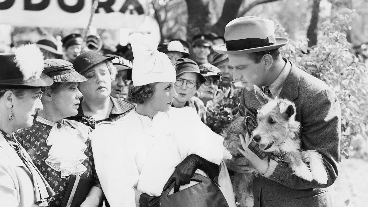 Sony Pictures Museum Theodora Goes Wild