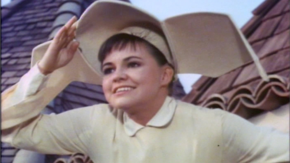 Sony Pictures Museum Flying Nun, The